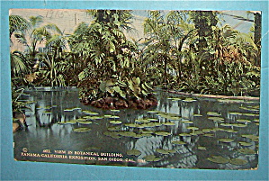 View In Botanical Building Postcard-pan California Expo