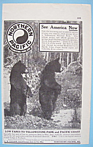 Vintage Ad: 1912 Northern Pacific
